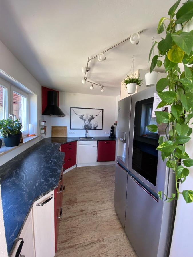 Ferienhaus Alpenblick Auf'M Vorderberg Villa Leutkirch im Allgäu Buitenkant foto