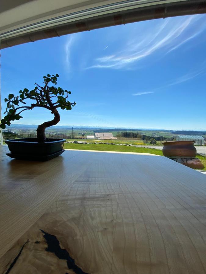 Ferienhaus Alpenblick Auf'M Vorderberg Villa Leutkirch im Allgäu Buitenkant foto